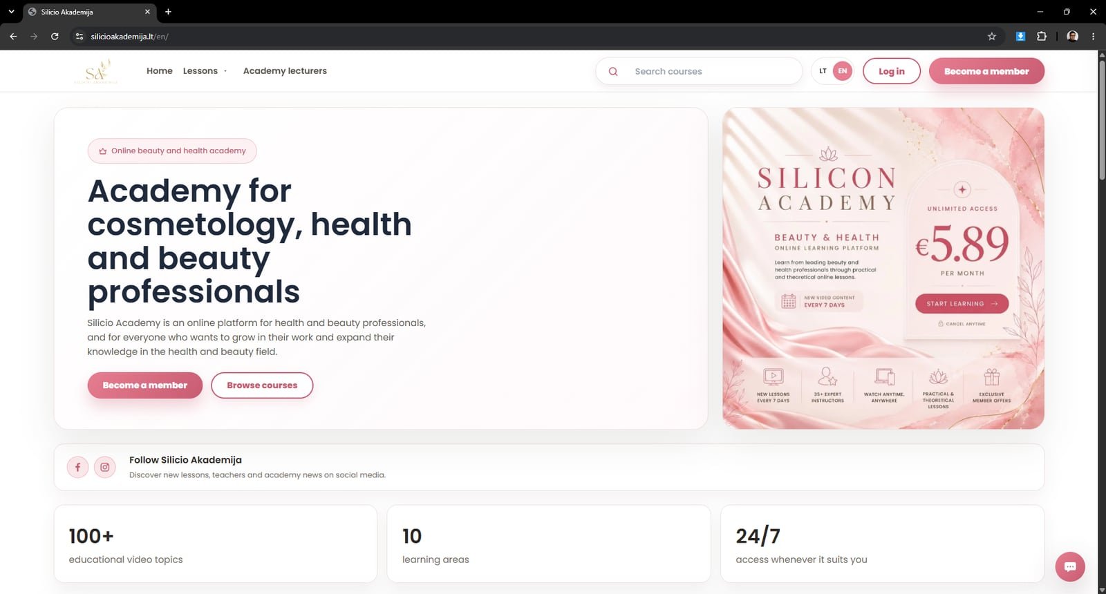 Silicon Academy website